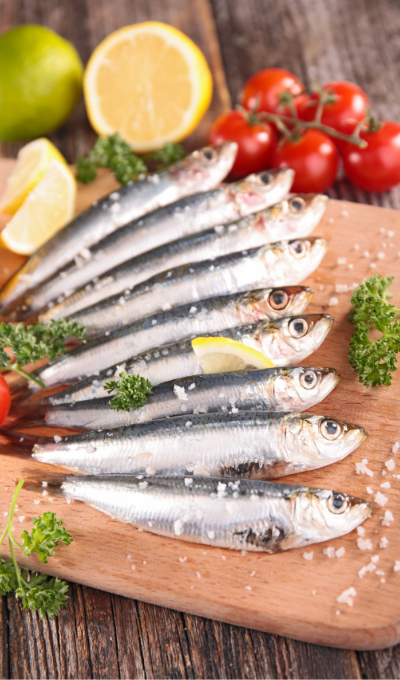 pescados económicos